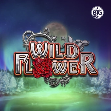 Bigtime : Wild Flower - STOREBET77